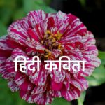 hindi-kavita