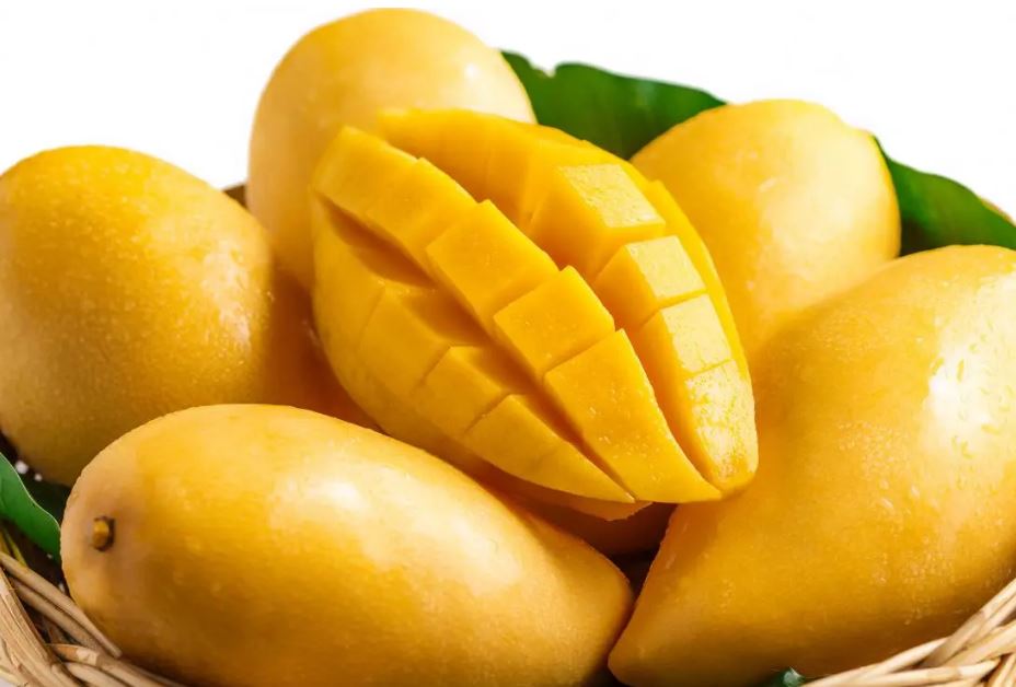 mango benefits