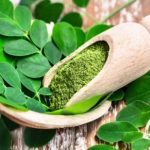 moringa leaves benifits