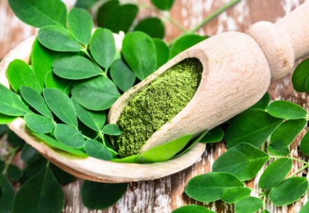 moringa leaves benifits
